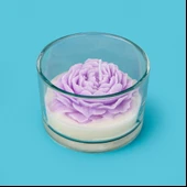 Rose Mum - Asorti - 12 cm thumbnail 1