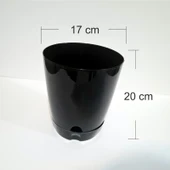 Plastik Tabaklı 20 cm Saksı thumbnail 3