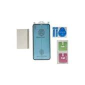 Apple İphone 12 Pro Max Polymer Nano Ekran Koruyucu thumbnail 4