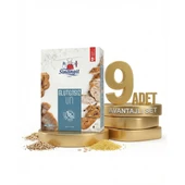 Sinangil Glutensiz Un 9x500 Gr thumbnail 1