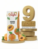 Meysu Nektar Kayısı 9x200 Ml thumbnail 2