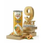 Meysu Kutu Kayısı 9x330 Ml thumbnail 1