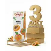 Meysu Nektar Kayısı 3x200 Ml thumbnail 1