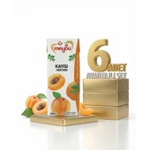Meysu Nektar Kayısı 6x200 Ml thumbnail 1