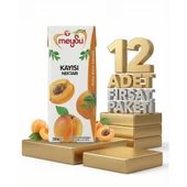 Meysu Nektar Kayısı 12x200 Ml thumbnail 1