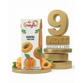 Meysu Nektar Kayısı 9x200 Ml thumbnail 1