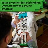 İskelet 21594 thumbnail 2