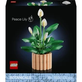 Lego 11504 Botanicals Barış Çiçeği thumbnail 3