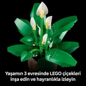 Lego 11504 Botanicals Barış Çiçeği thumbnail 7