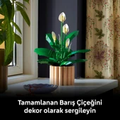 Lego 11504 Botanicals Barış Çiçeği thumbnail 9