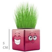 Çim Adam Mini Küp Emoji Figürlü 1 Adet thumbnail 4