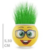 Çim Adam Saksı Emoji Figürlü 1 Adet thumbnail 2