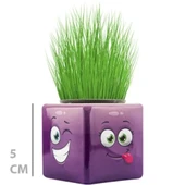 Çim Adam Mini Küp Emoji Figürlü 1 Adet thumbnail 1