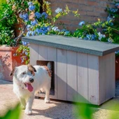 Ferplast Argo 60 Ahşap Köpek Kulübesi thumbnail 3