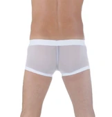 Don Moris DM291125 Transparan Boxer thumbnail 2