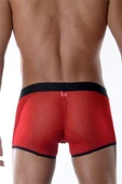 Kırmızı Erkek Boxer thumbnail 5