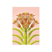Building Block Flower 141 Parça Clivia thumbnail 4