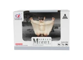 Kutulu Model Figür Hayvan Uçan Sincap thumbnail 1