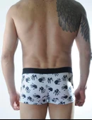 Erkek Desenli Boxer thumbnail 3