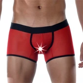 Kırmızı Erkek Boxer thumbnail 1