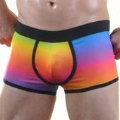 Renkli Erkek Boxer thumbnail 2