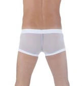 Don Moris DM291125 Transparan Boxer thumbnail 2