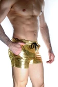 Erkek Gold Lame Short thumbnail 6
