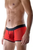Kırmızı Erkek Boxer thumbnail 3