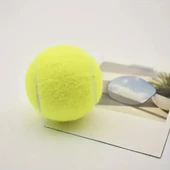 3'lü Köpek Oyun Tenis Topu thumbnail 4