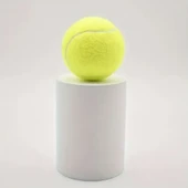 3'lü Köpek Oyun Tenis Topu thumbnail 5