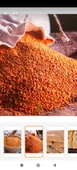 Hatice Sultan Tarhana thumbnail 1