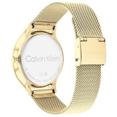 Calvin Klein CK25100005 Kadın Kol Saati thumbnail 4