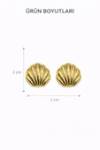 Shell Gold Çivi Küpe thumbnail 3