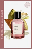 LAMOUR 100 ML NICHE PARFÜM thumbnail 1