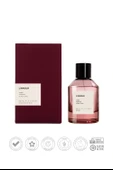 LAMOUR 100 ML NICHE PARFÜM thumbnail 2
