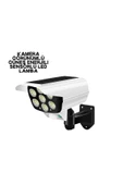 V070 SOLAR LAMBA thumbnail 1