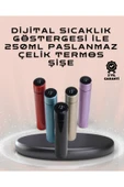 250ml LED Ekranlı Paslanmaz Çelik Akıllı Termos thumbnail 1