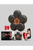 MÜZİK BOX MAKİNESİ thumbnail 2