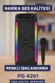 PG4261 HOPARLÖR thumbnail 2
