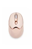 Ergonomik Tasarımlı Kablosuz Mouse Bluetooth ve USB Alıcılı thumbnail 2