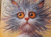 FAYSAL ÇAKMAZ KEDİ thumbnail 3