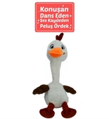 50107 40 CM KONUŞAN ŞAŞKIN CİVCİV -HLY thumbnail 2