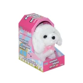 47100 Sevimli Köpek Maltese thumbnail 1