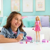 JMJ47 Barbie Malibu Sınırsız Macera thumbnail 2