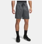 UA Tech Mesh Shorts  Erkek Şort 1328705-012 thumbnail 4