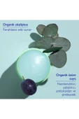 Caudalie Vinofresh Doğal Stick Deodorant 50 gr thumbnail 2