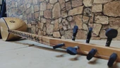 Uzun sap kestane ağacı thumbnail 3