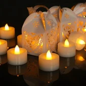 Pilli Mum 1.8 Cm 24 lü Paket thumbnail 2