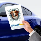 Fulcar Australian Shepherd Araç Stickerı thumbnail 3