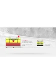 BMİ Bmı Eurostar 40 Cm thumbnail 5